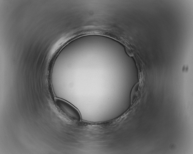 X0000112770150200908201358