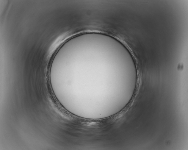 X0000112770151200908201358