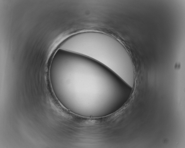 X0000112770152200908201358