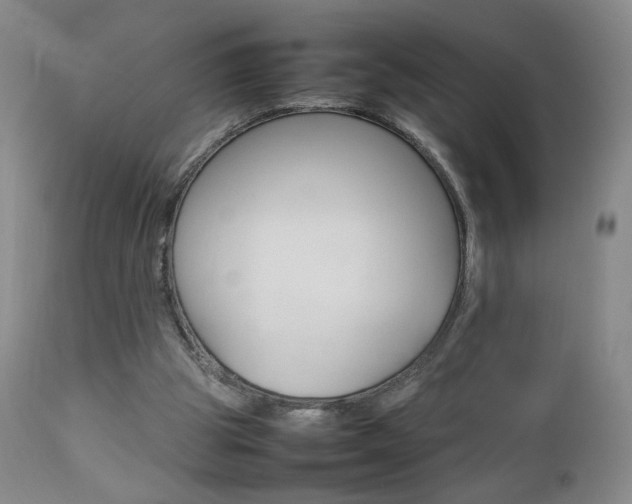 X0000112770153200908201358