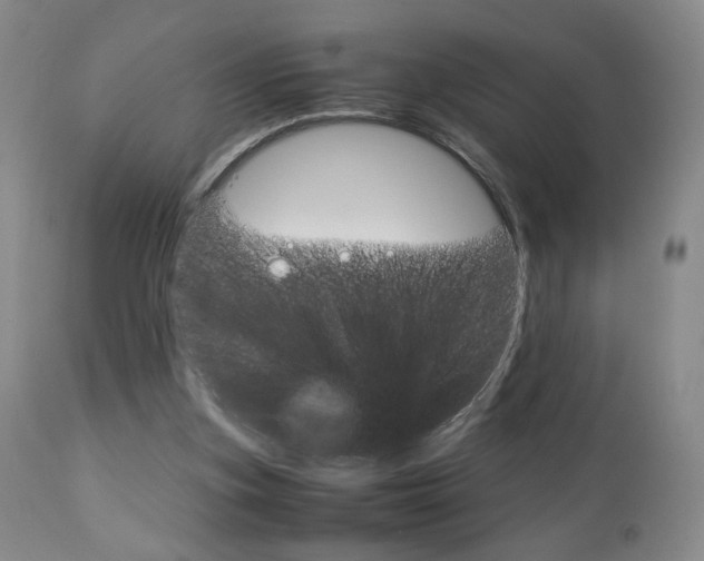X0000112770155200908201358
