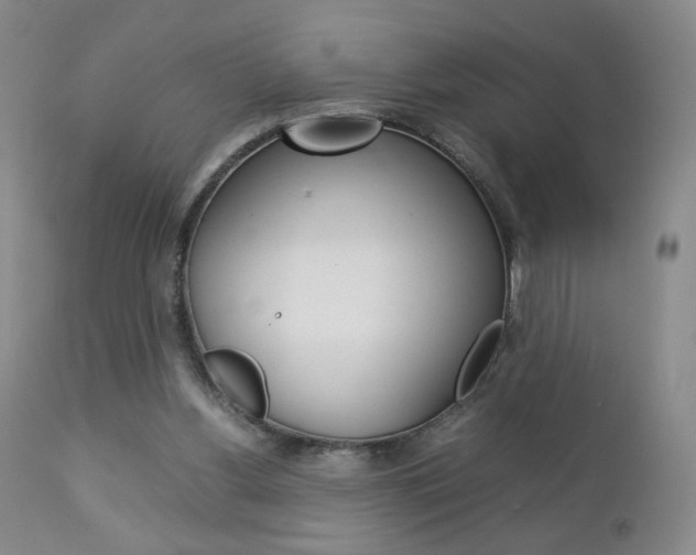X0000112770156200908201358