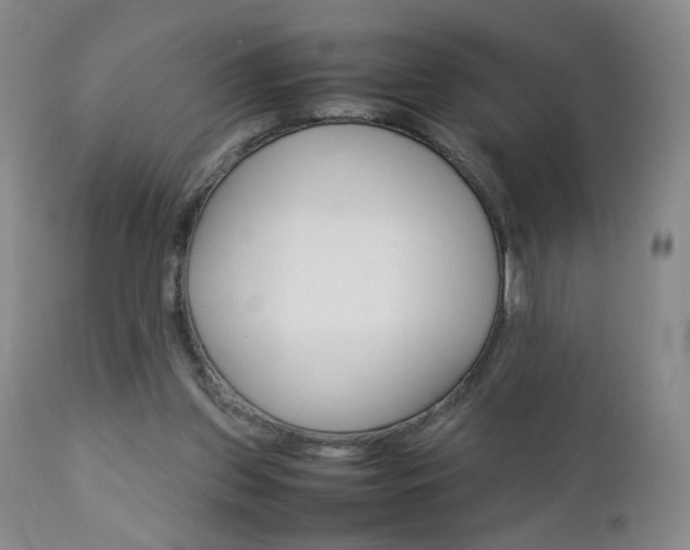 X0000112770157200908201358