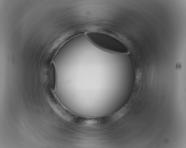 X0000112770158200908201358