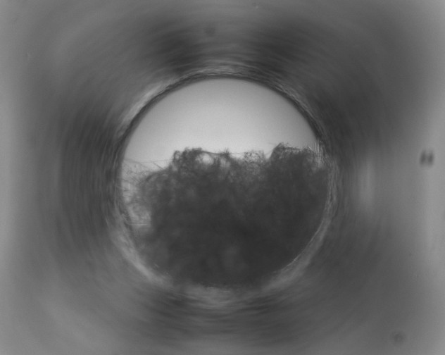 X0000112770159200908201358