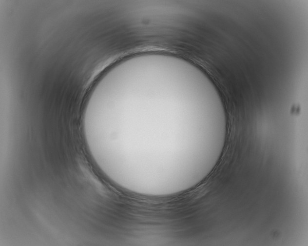 X0000112770160200908201358