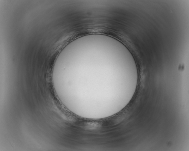 X0000112770161200908201358