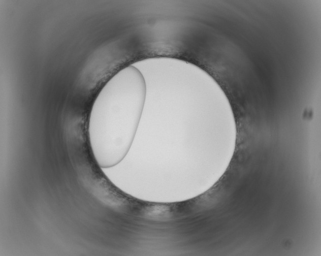 X0000112770162200908201358