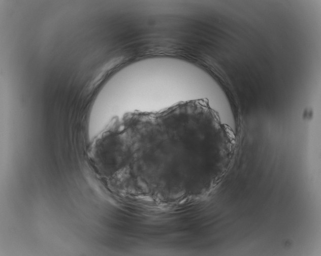 X0000112770163200908201358