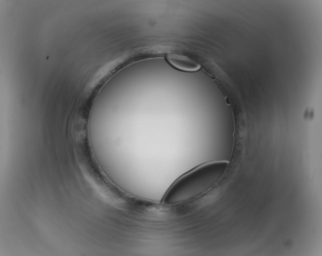 X0000112770164200908201358