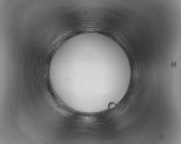 X0000112770165200908201358