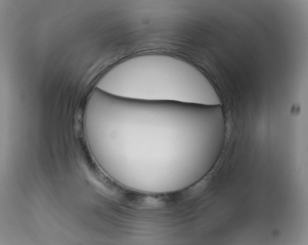 X0000112770166200908201358