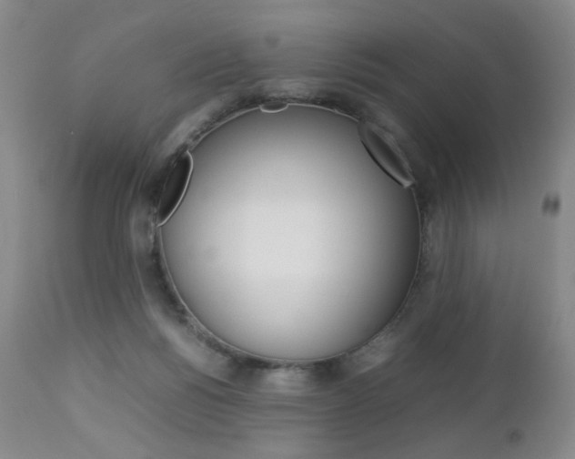 X0000112770168200908201358