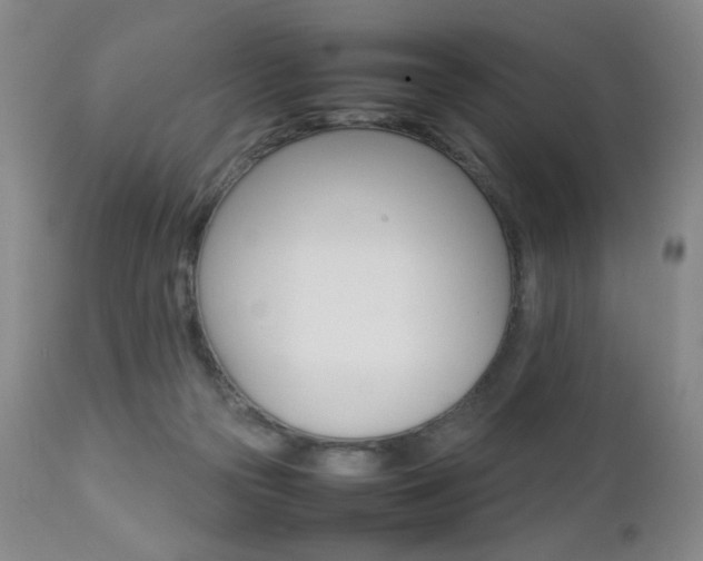 X0000112770169200908201358