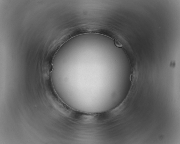 X0000112770170200908201358