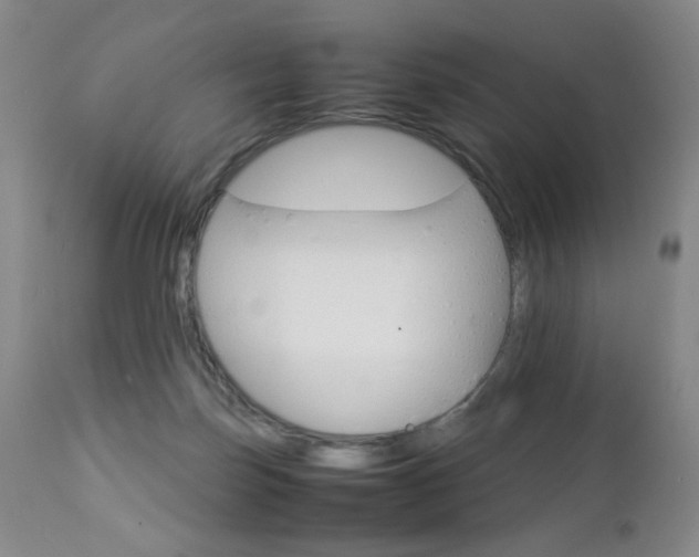 X0000112770171200908201358