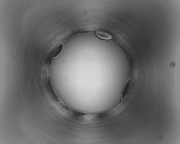 X0000112770172200908201358