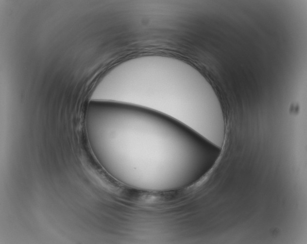 X0000112770174200908201358