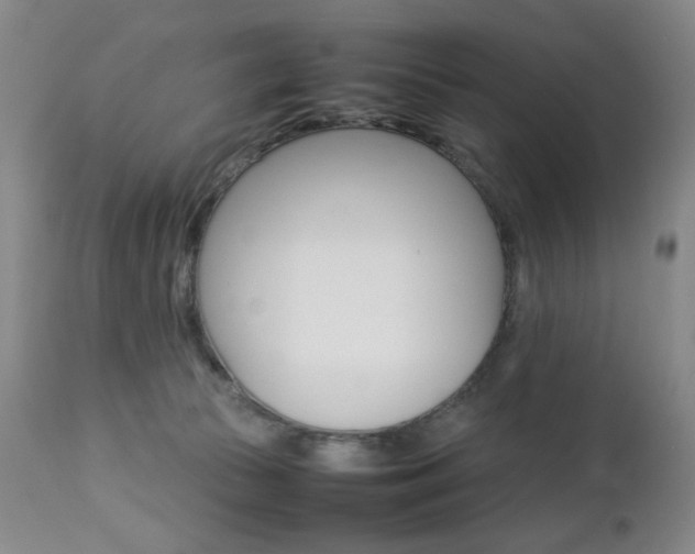 X0000112770177200908201358