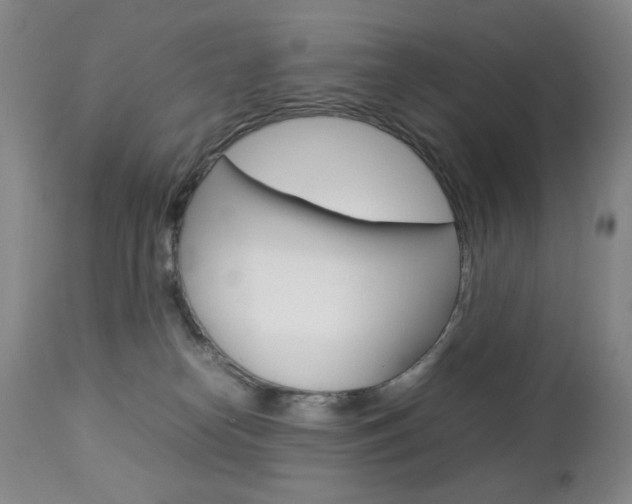 X0000112770182200908201358