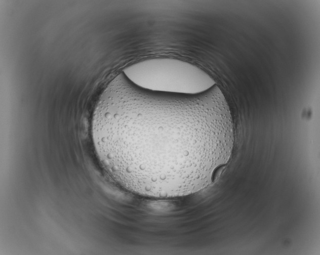 X0000112770183200908201358