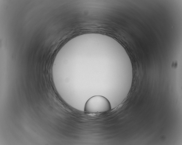 X0000112770184200908201358