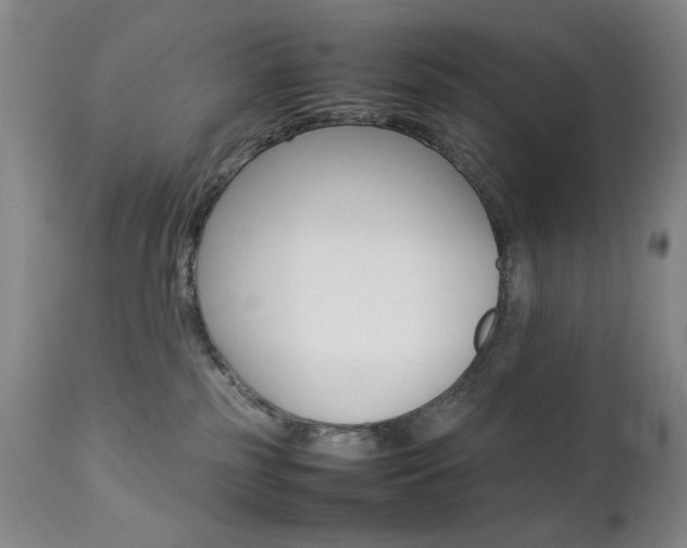 X0000112770185200908201358