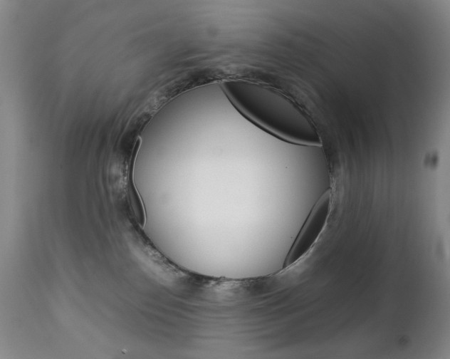 X0000112770186200908201358
