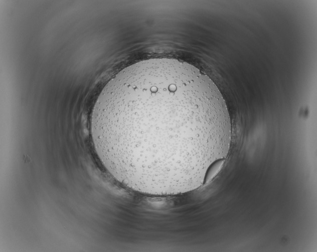 X0000112770187200908201359