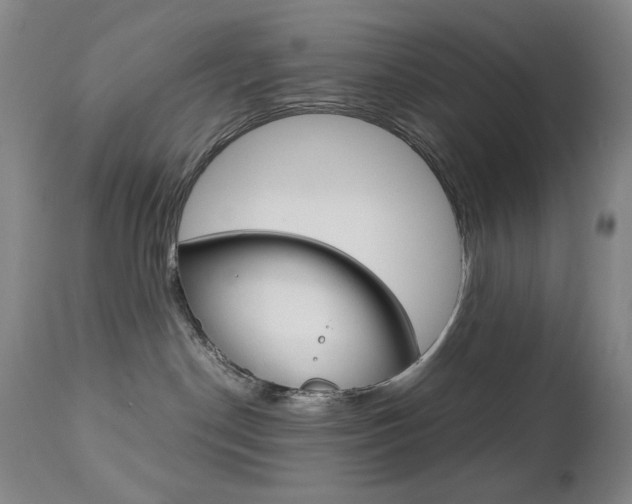X0000112770190200908201359