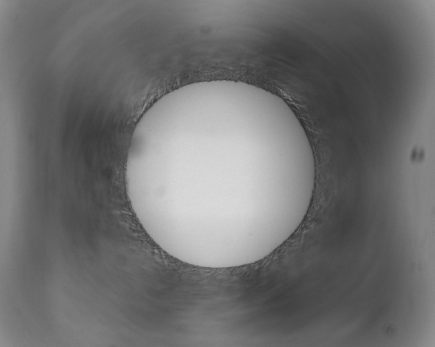 X0000112770192200908201359