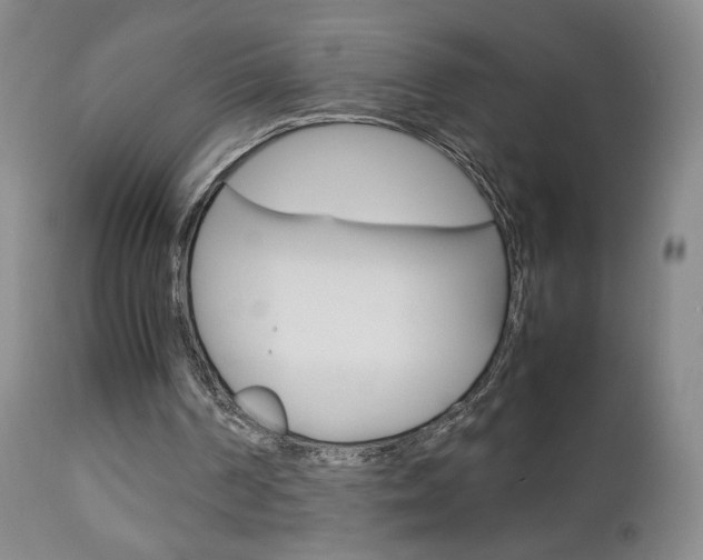 X0000112770194200908201358