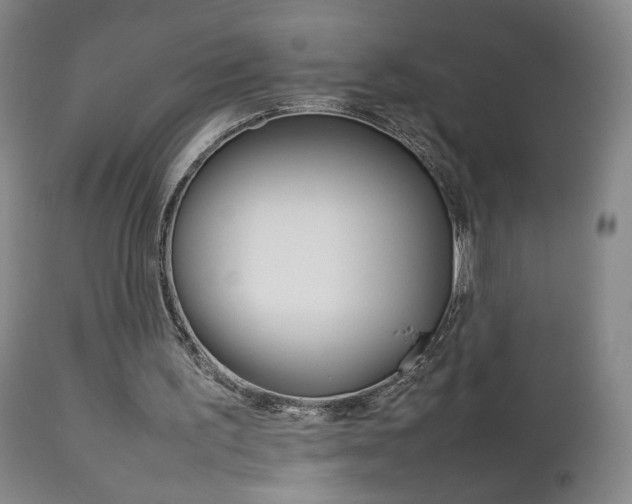 X0000112770195200908201358