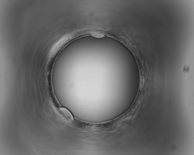 X0000112770197200908201358