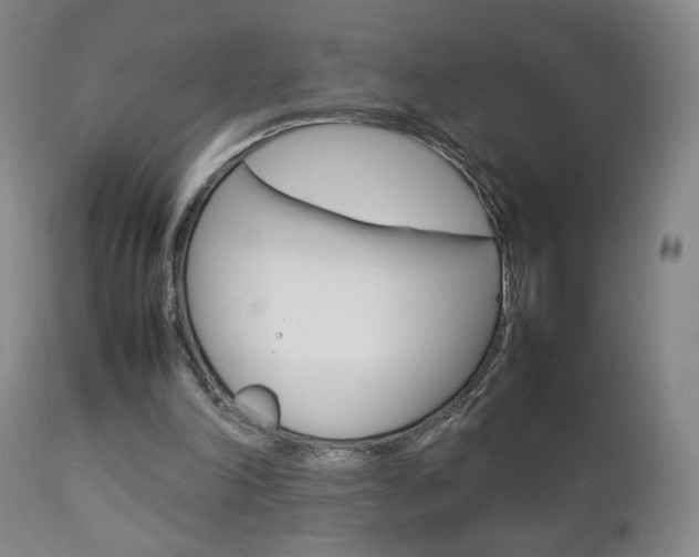 X0000112770198200908201358