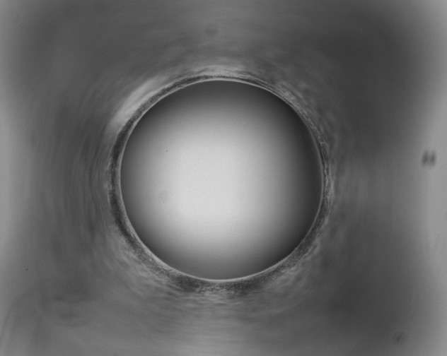 X0000112770199200908201358