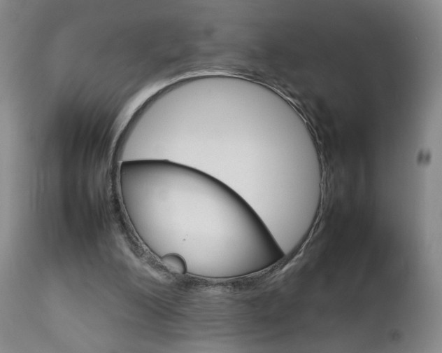 X0000112770200200908201358