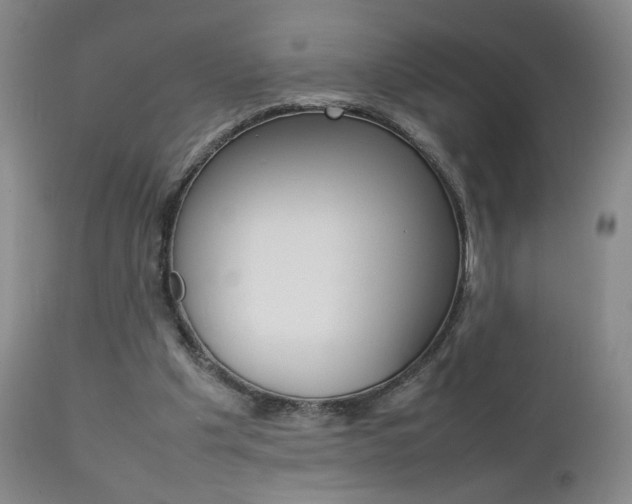 X0000112770201200908201358