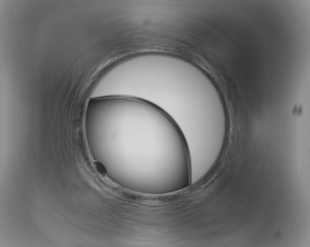X0000112770203200908201358