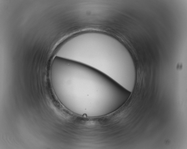 X0000112770204200908201358