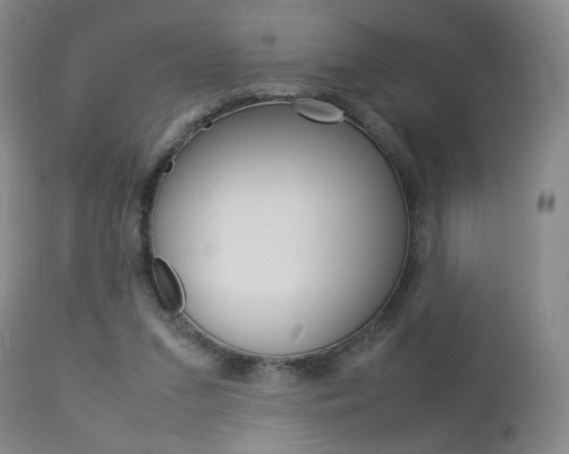 X0000112770207200908201358
