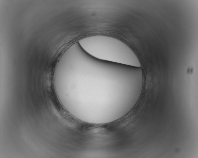 X0000112770210200908201358