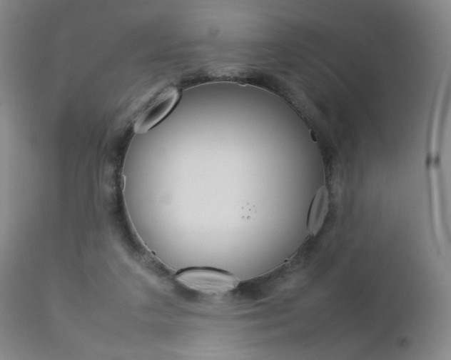 X0000112770211200908201358