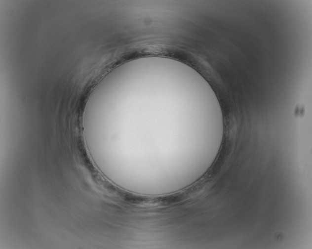 X0000112770213200908201358
