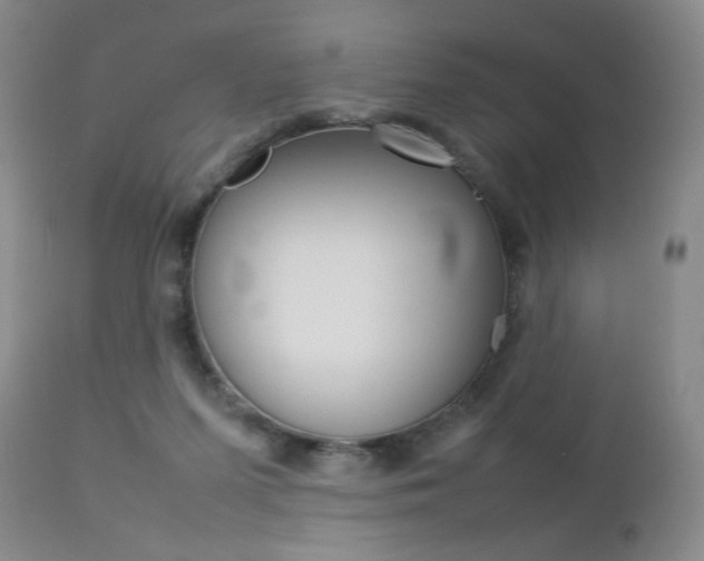 X0000112770215200908201358