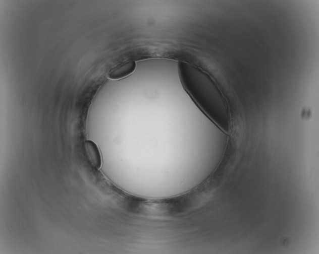 X0000112770221200908201358