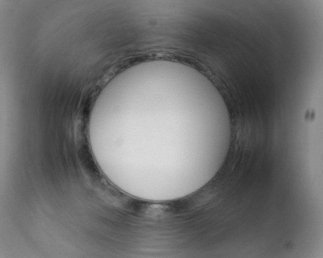X0000112770222200908201358