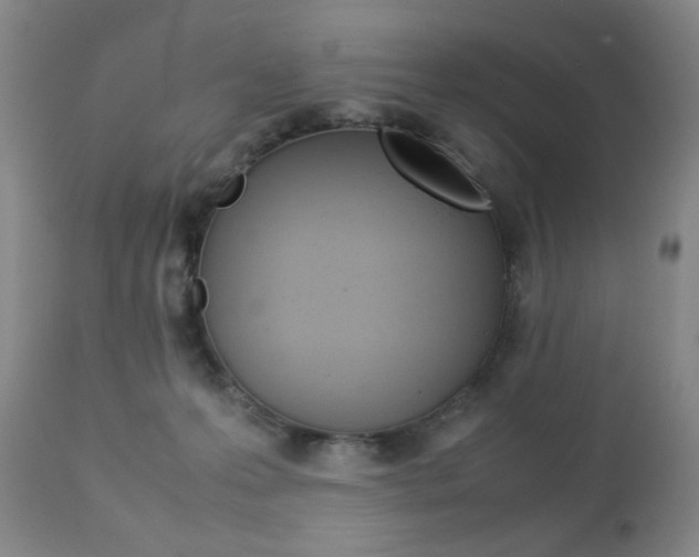 X0000112770223200908201357