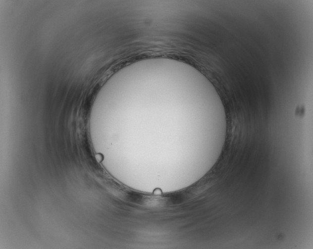 X0000112770226200908201357