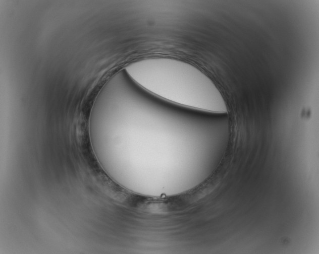 X0000112770228200908201357